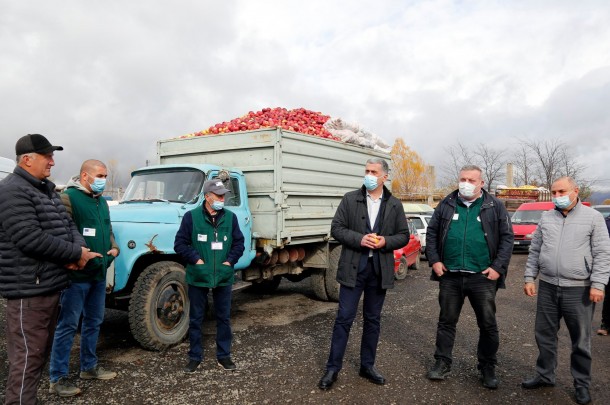 არასტანდარტული ვაშლის რეალიზაციის ხელშეწყობის სახელმწიფო პროგრამის ფარგლებში, ფერმერებმა 9 მლნ ლარზე მეტი შემოსავალი მიიღეს