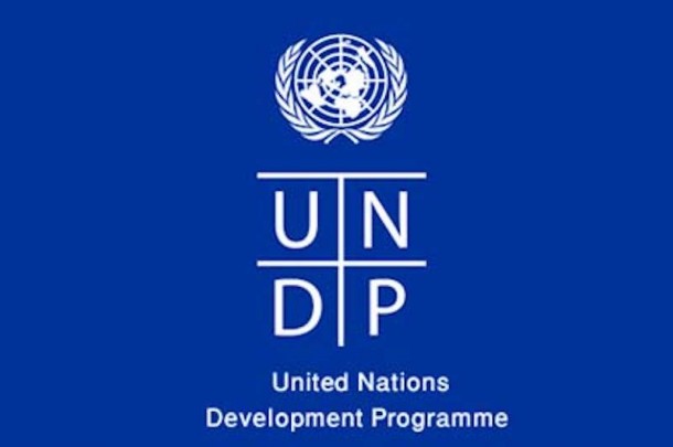 480 ქალი საქართველოს შვიდ რეგიონში გაეროს განვითარების პროგრამისგან (UNDP) სასოფლო-სამეურნეო მასალებს მიიღებს
