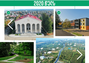 2020 წელს განხორციელებული პროექტები გურიის რეგიონში  პროექტები